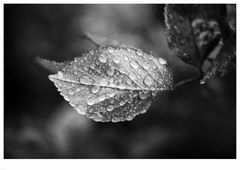 Wassertropfen 02