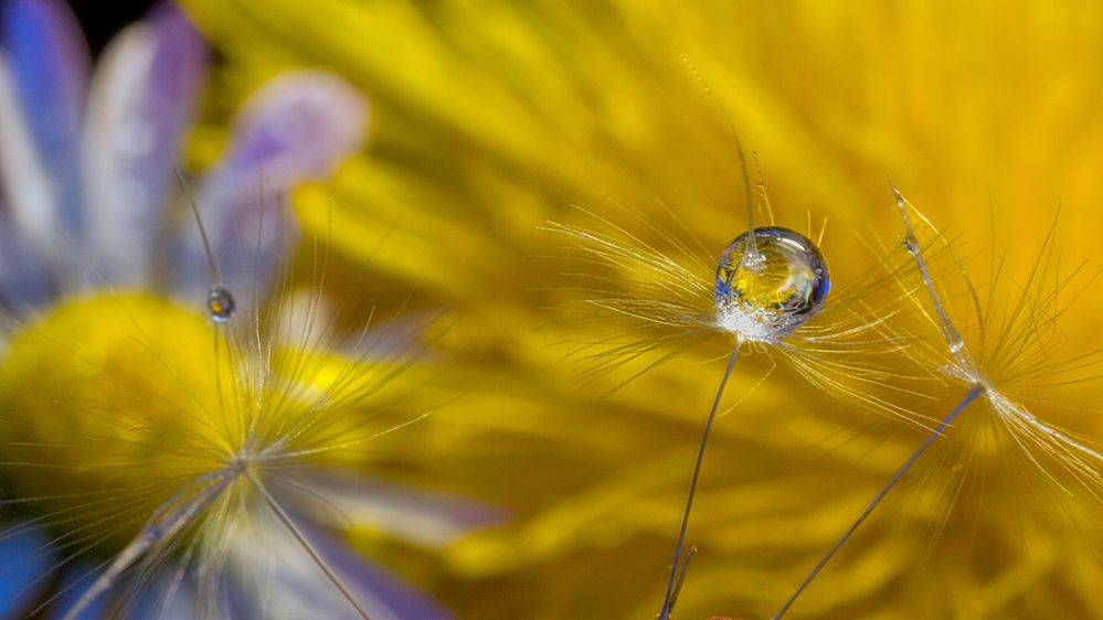 Wassertropfen