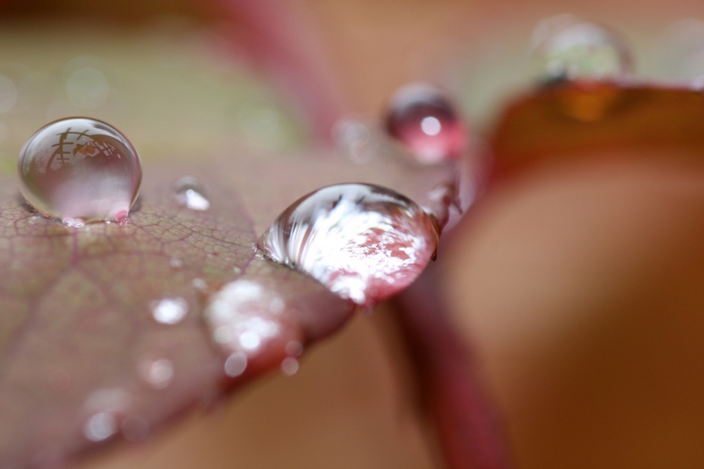 Wassertropfen