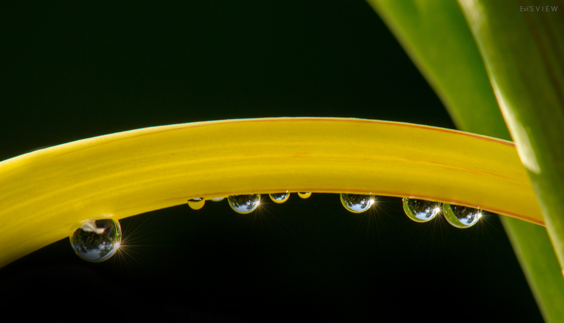 * WASSERTROPFEN *