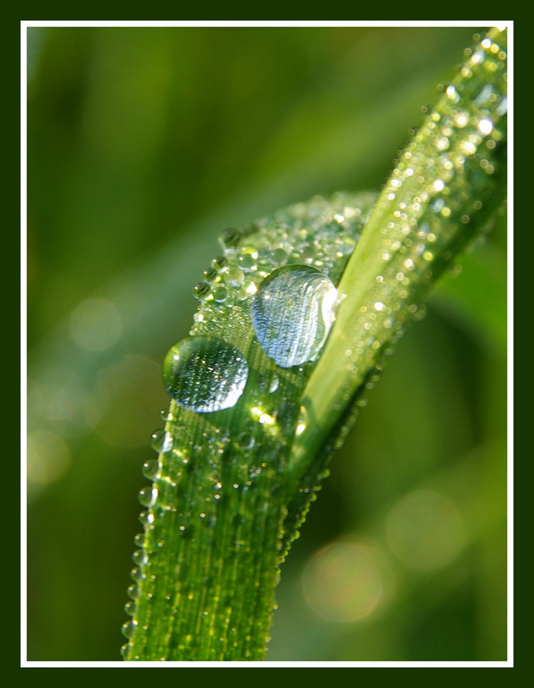 Wassertropfen