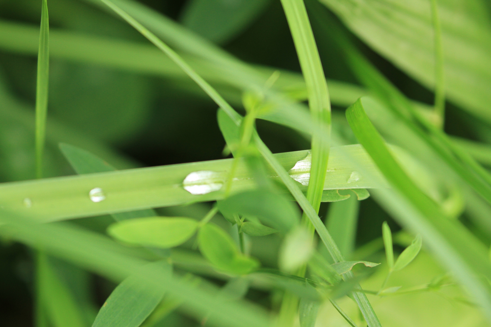 Wassertropfen