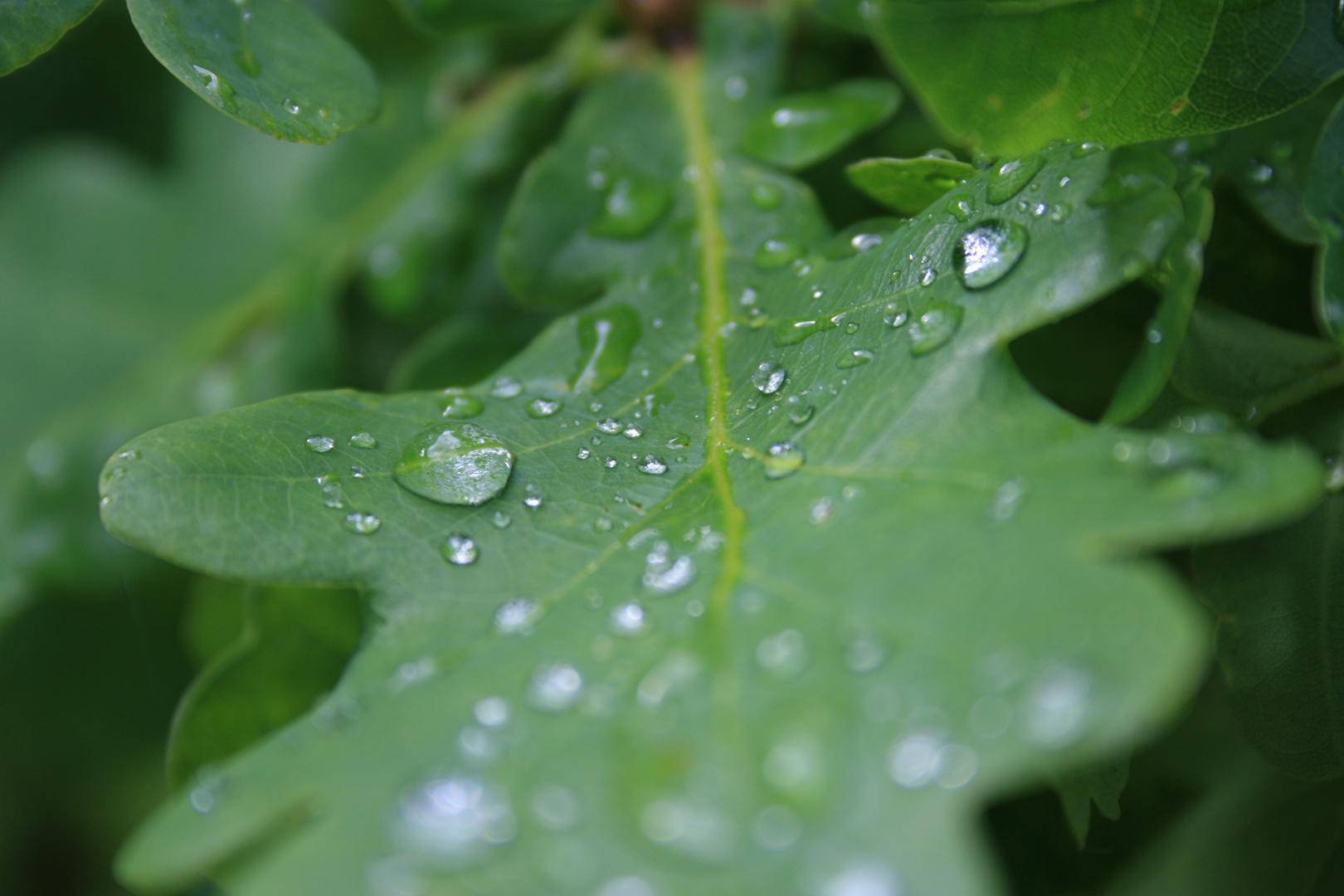 Wassertropfen