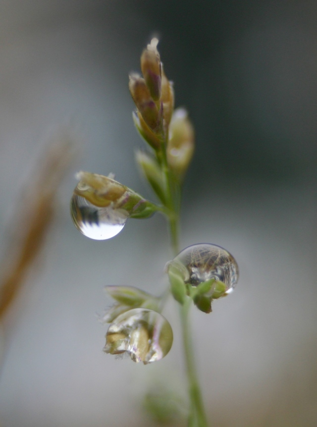 Wassertropfen