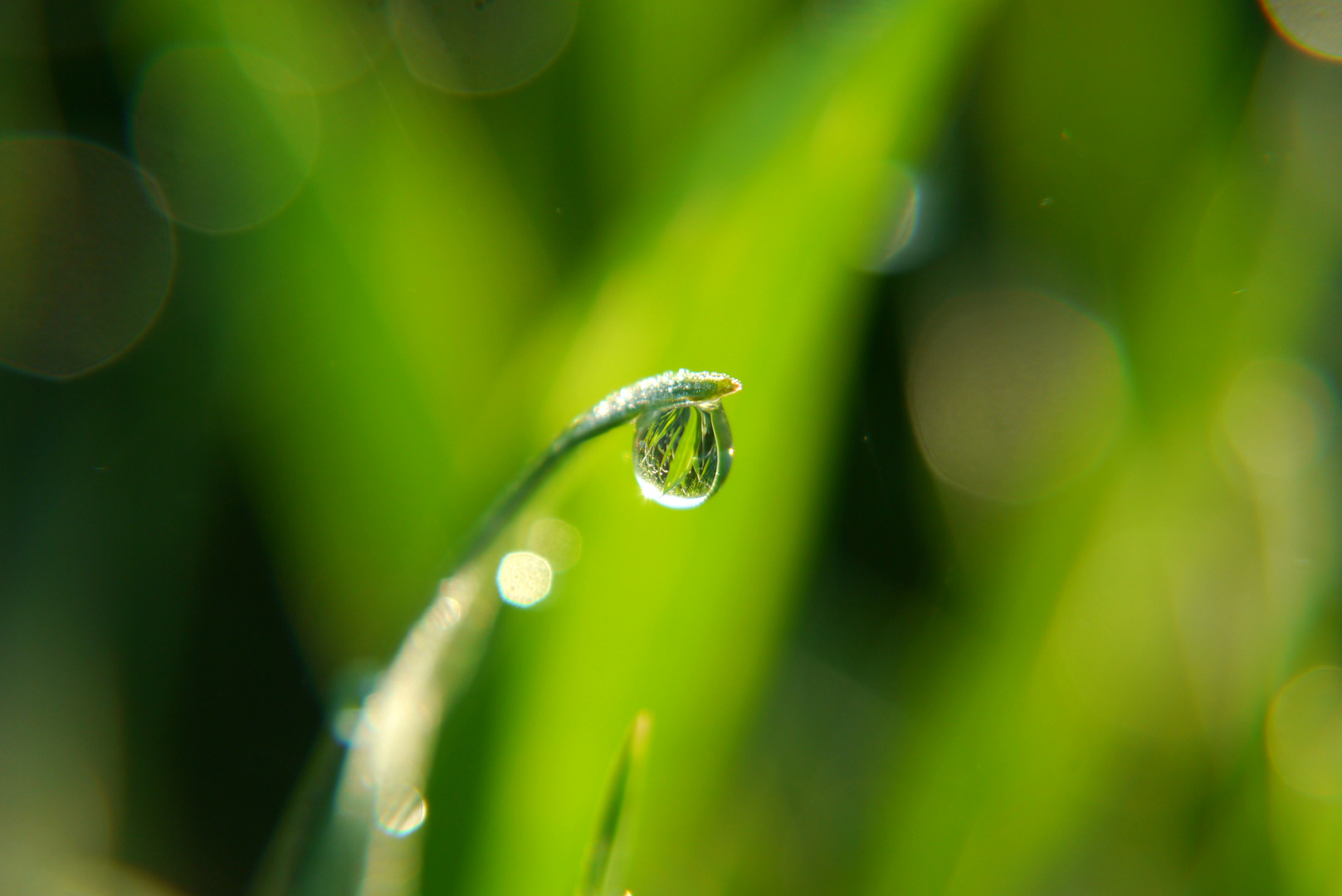 Wassertropfen