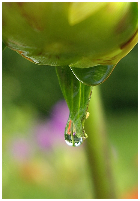 Wassertropfen