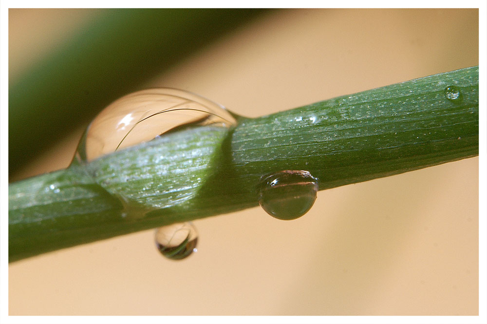 Wassertropfen