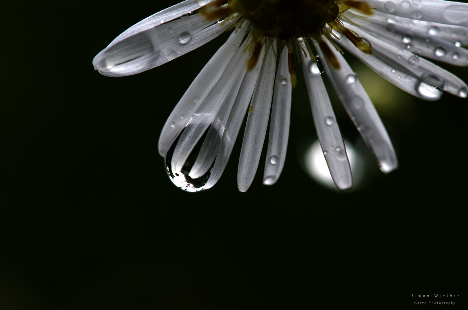 Wassertropfen