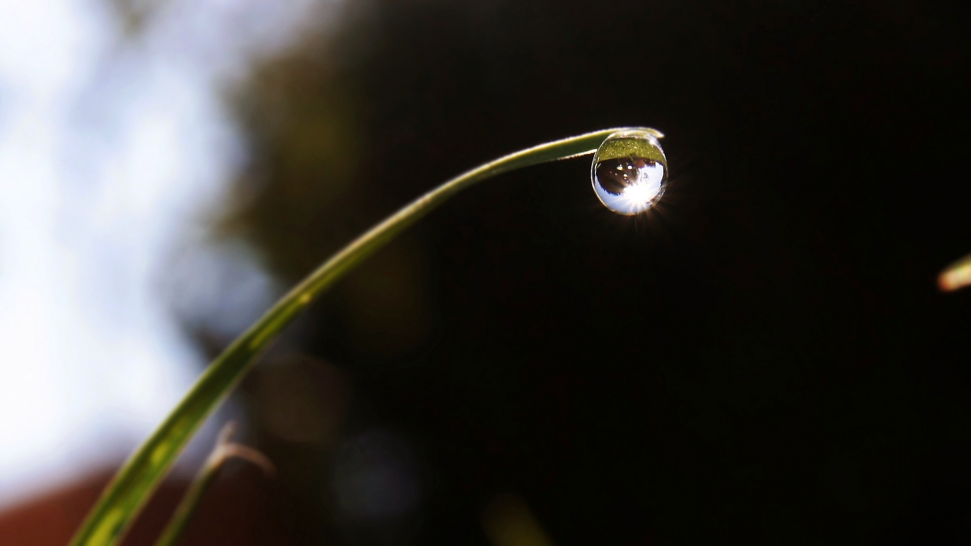 Wassertropfen