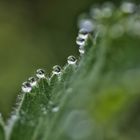 Wassertropfen #3