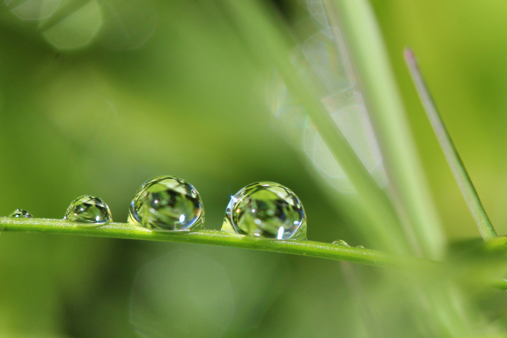 Wassertropfen