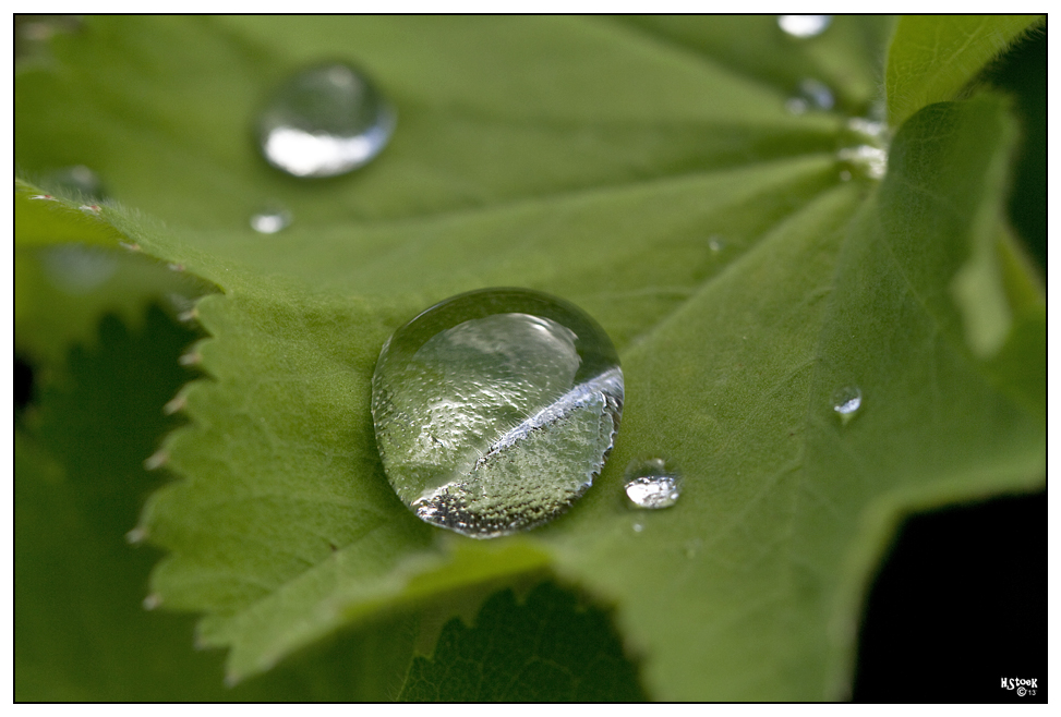 Wassertropfen