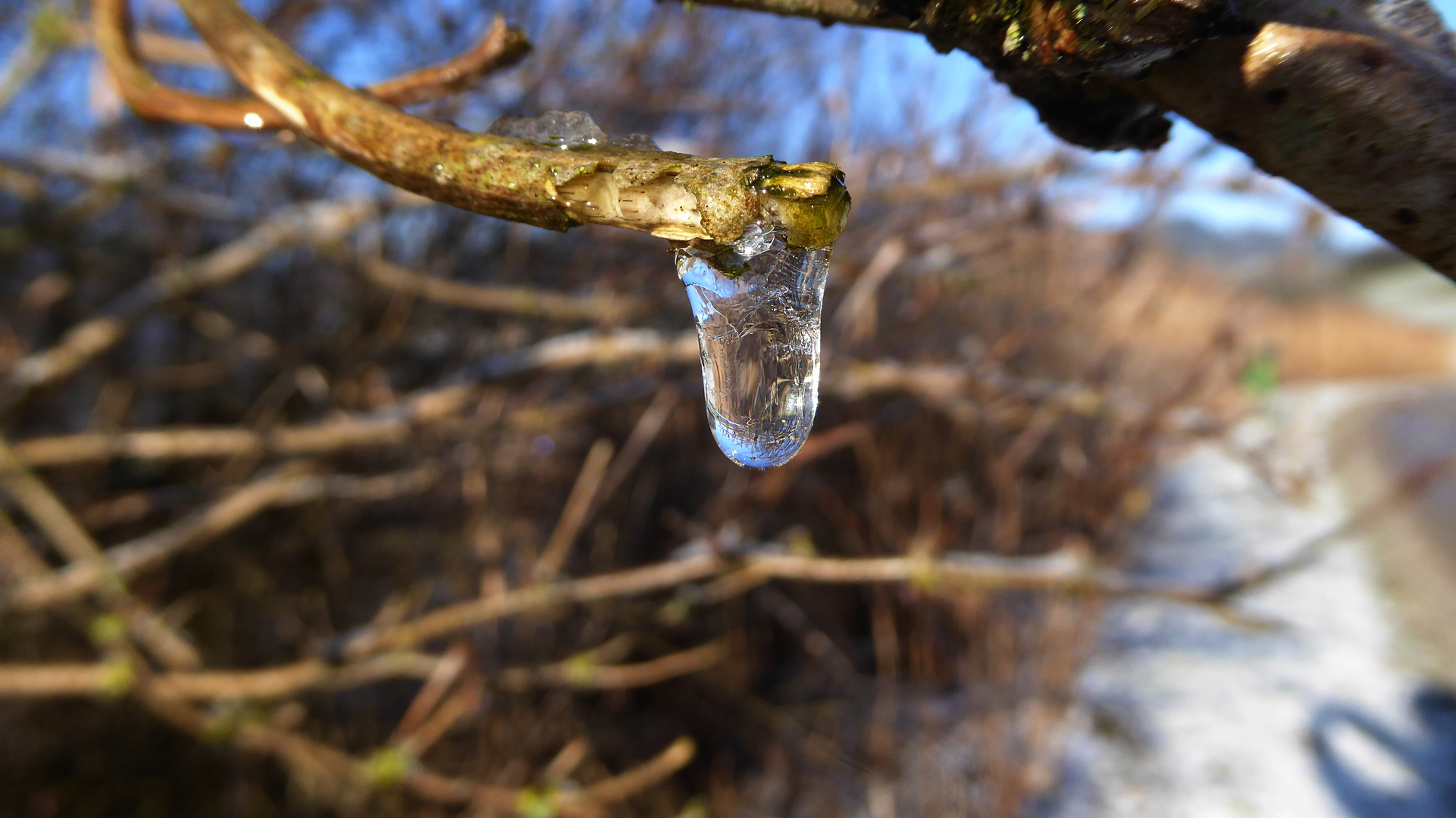 Wassertropfen