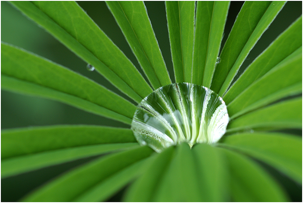 Wassertropfen ....