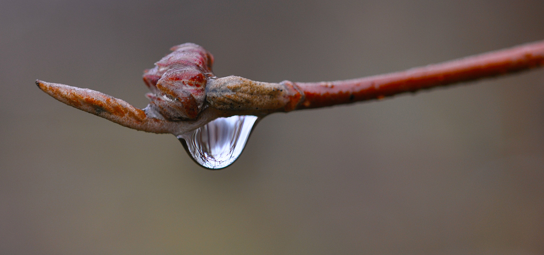 Wassertropfen....