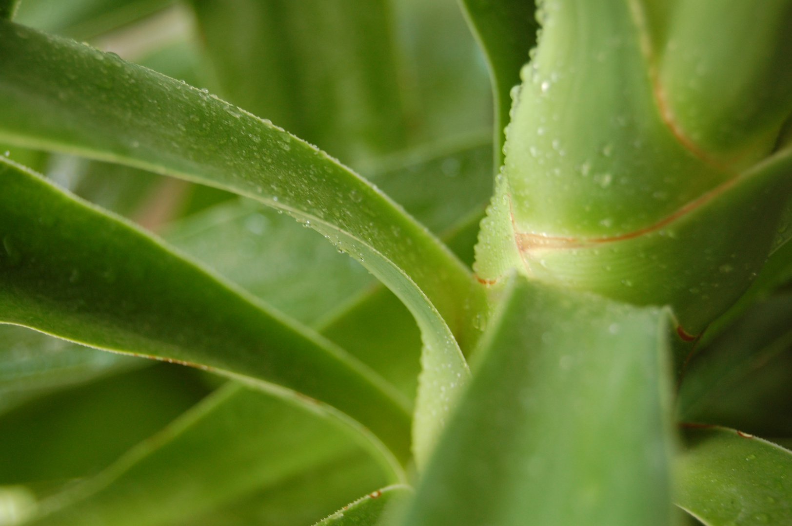 Wassertropfen