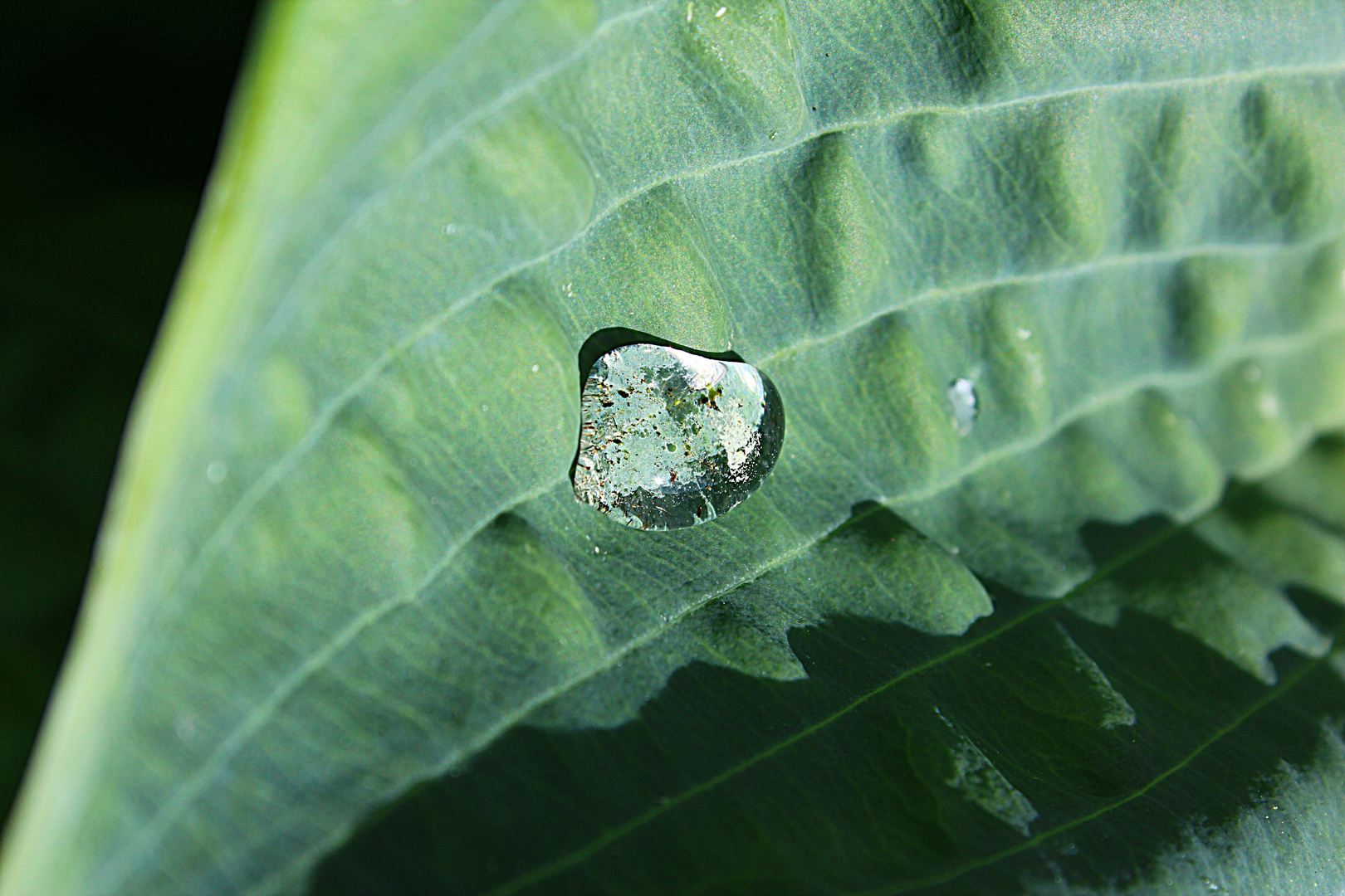 WasserTropfen