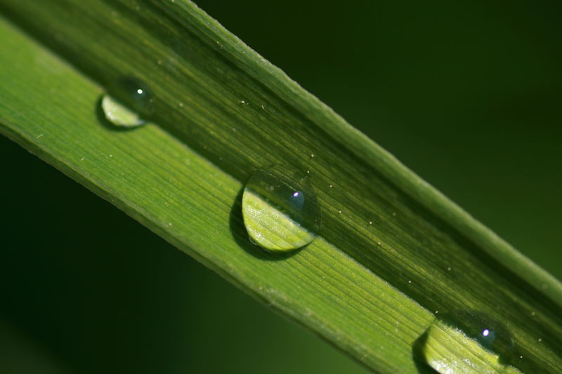 Wasser...tropfen