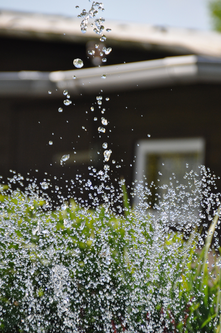 wassertropfen