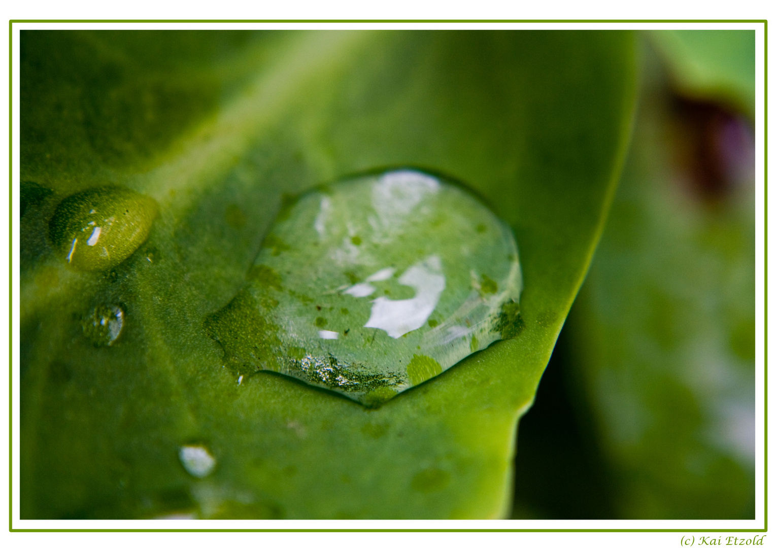 Wassertropfen