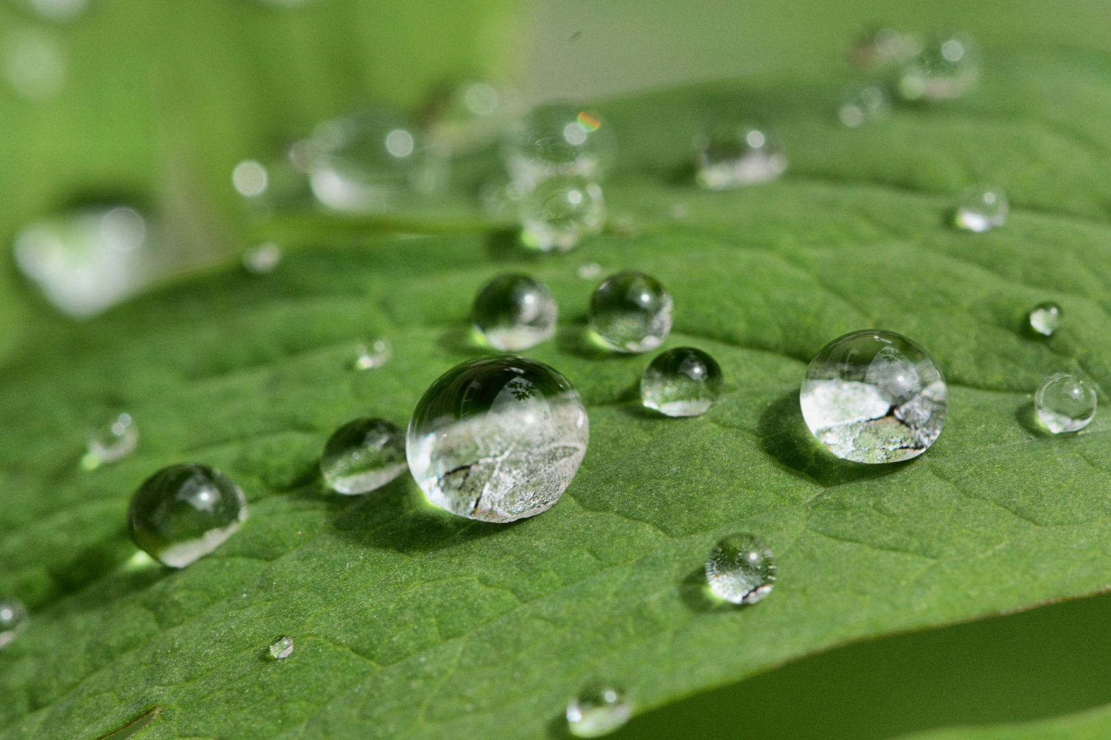 Wassertropfen