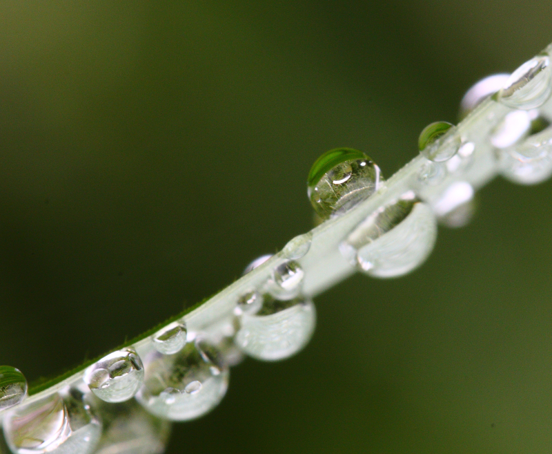 Wassertropfen