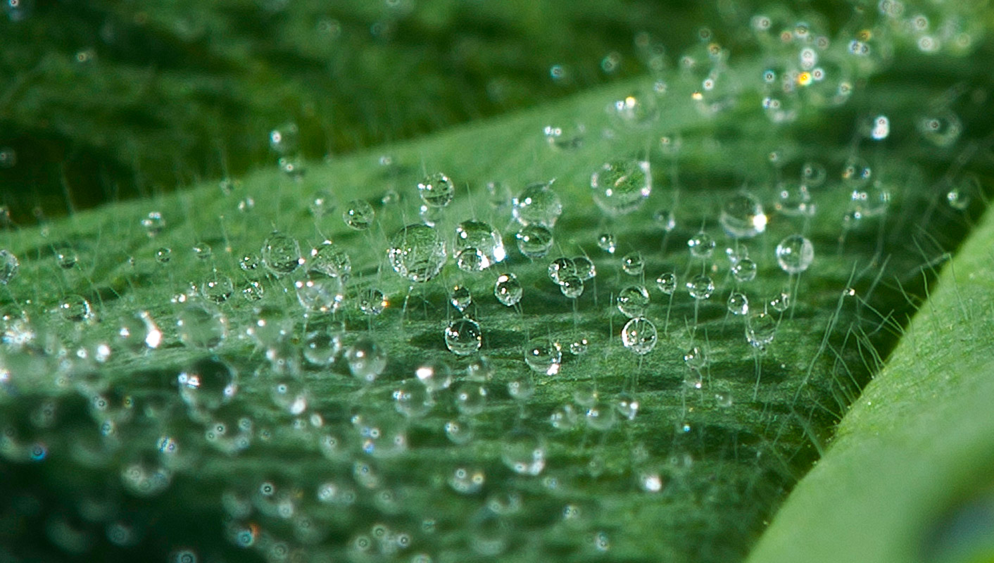 Wassertropfen