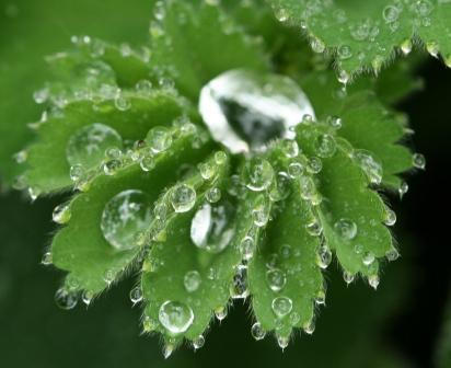 Wassertropfen von Barbara Halmburger