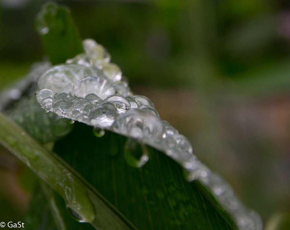 Wassertropfen