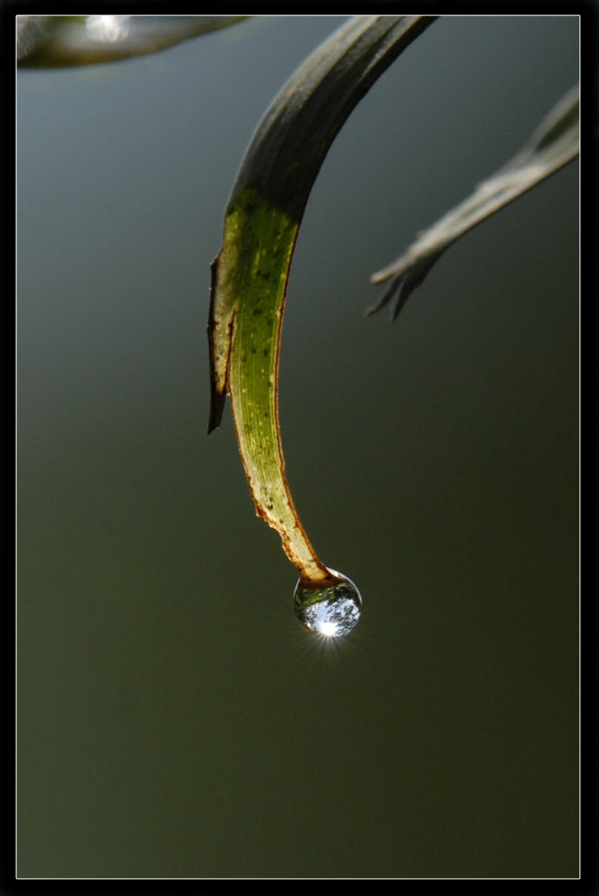 Wassertropfen