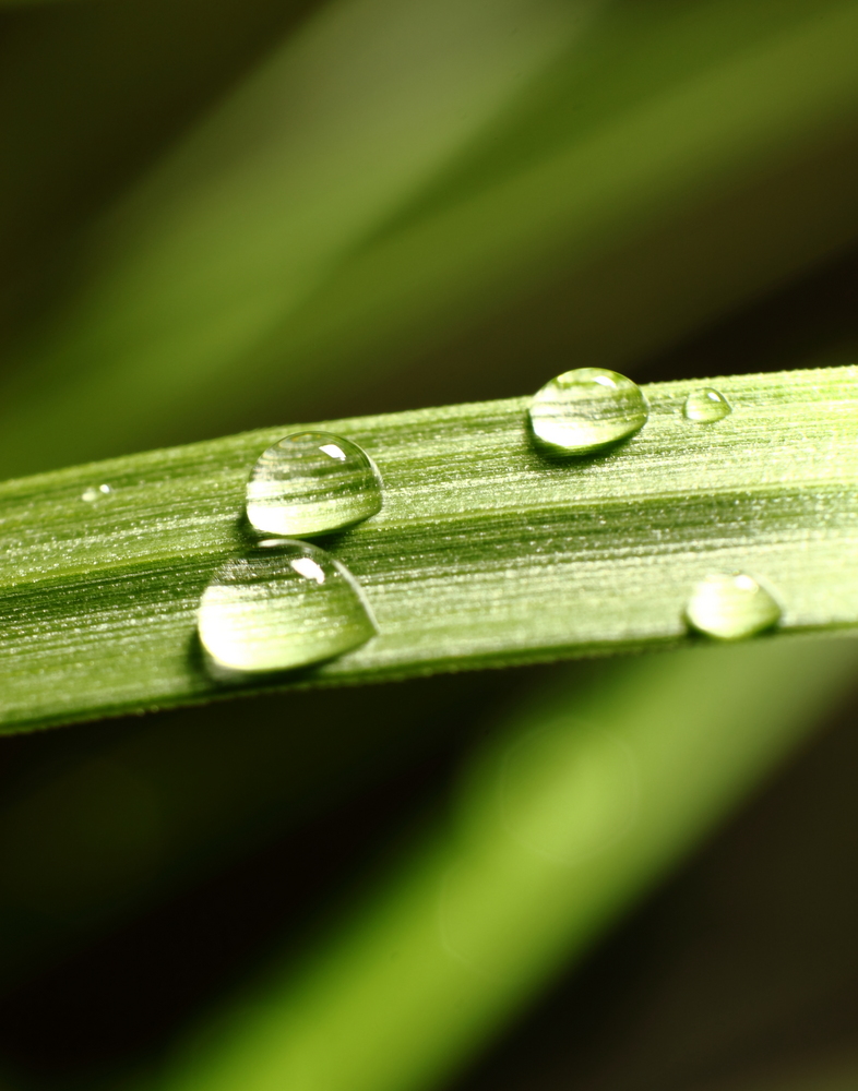 Wassertropfen