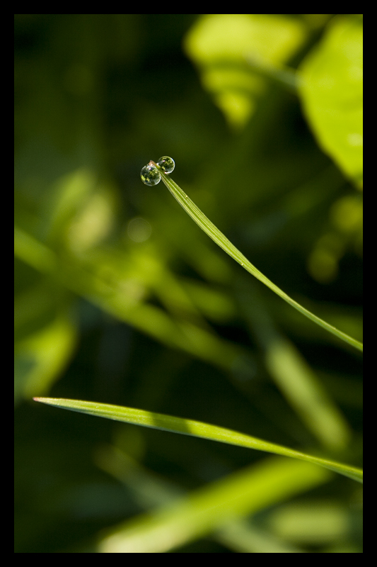 Wassertropfen