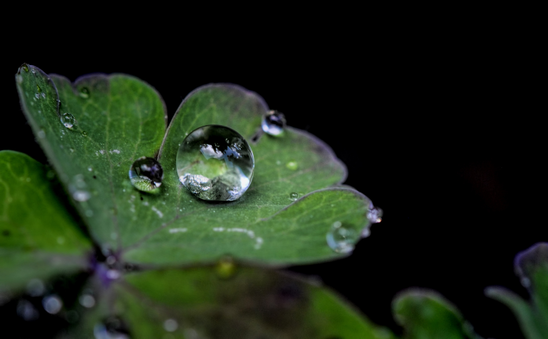 Wassertropfen