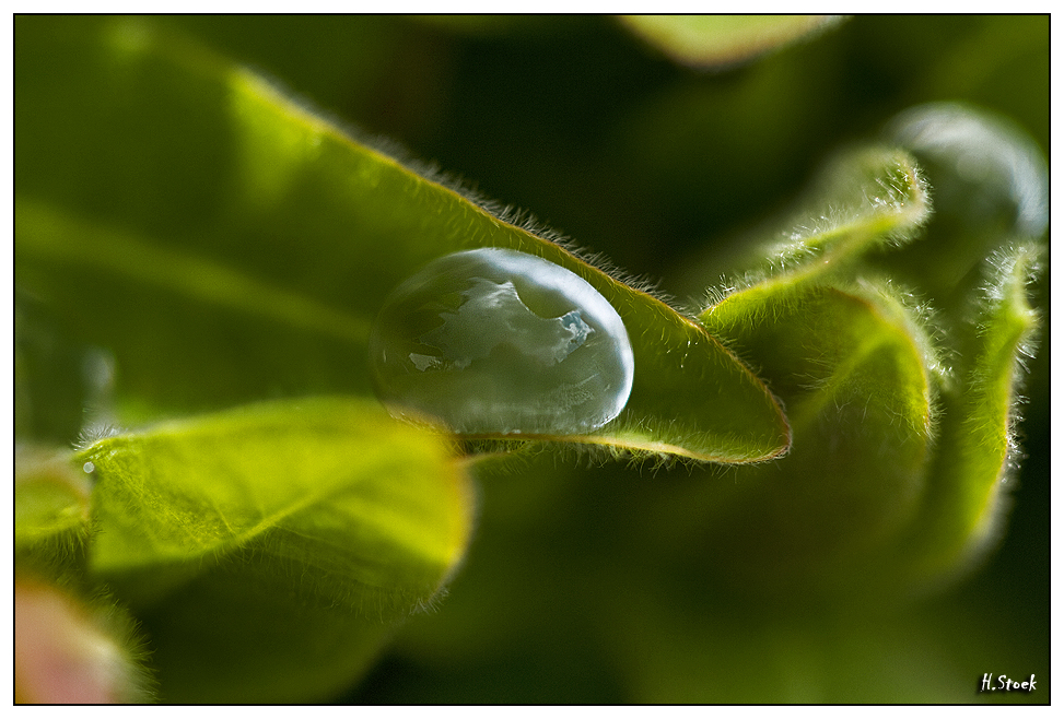 Wassertropfen