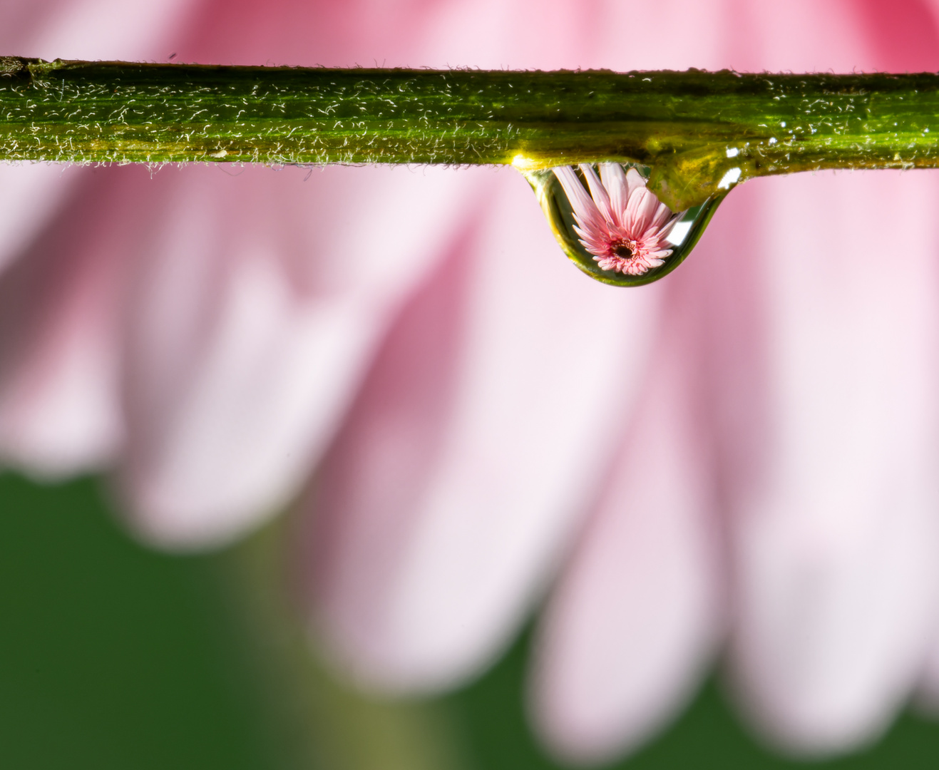 Wassertropfen