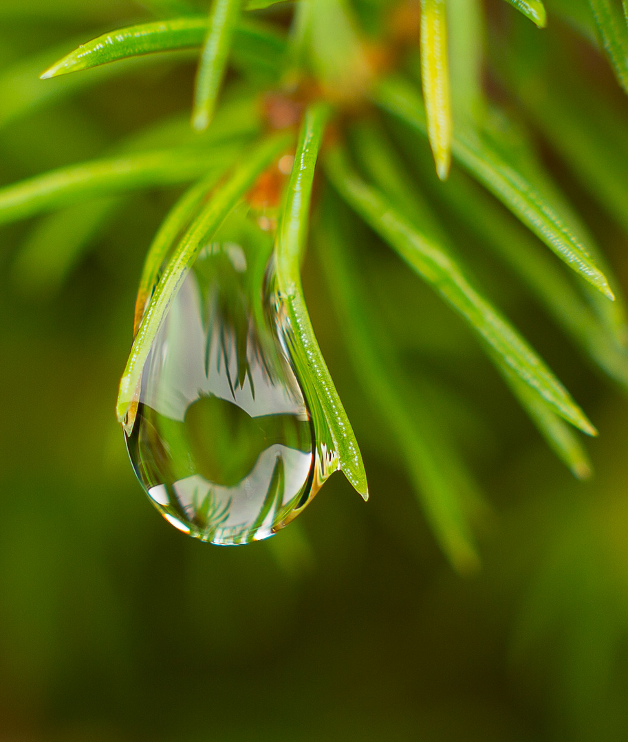 Wassertropfen