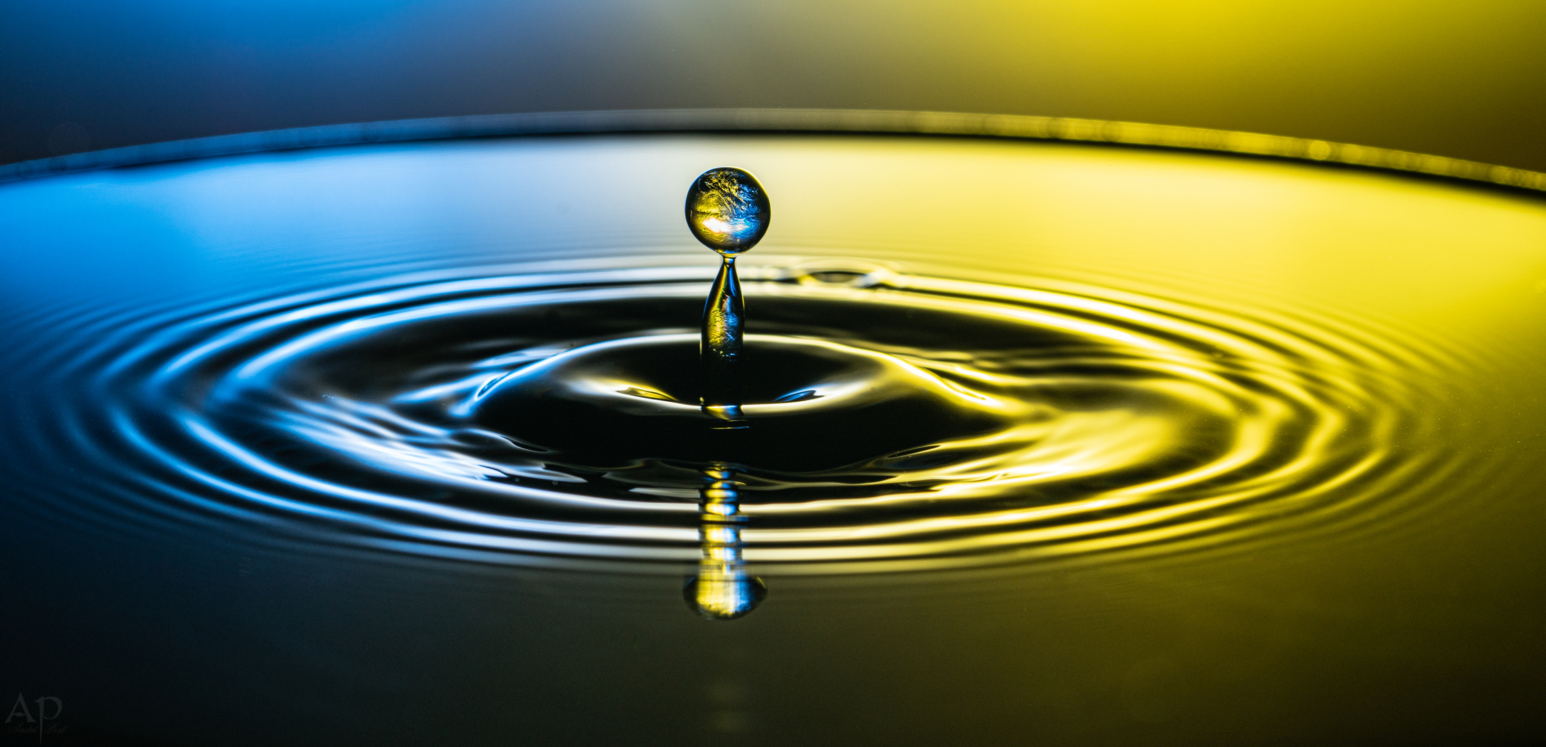 Wassertropfen Foto & Bild | abstraktes, formen, spezial Bilder auf