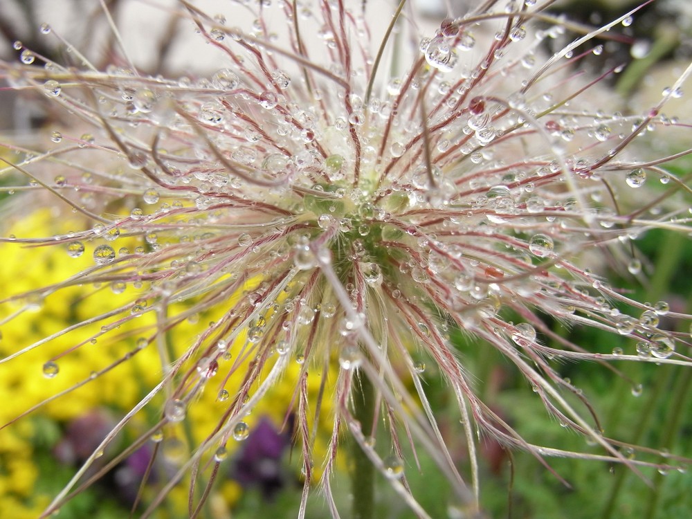 Wassertropfen