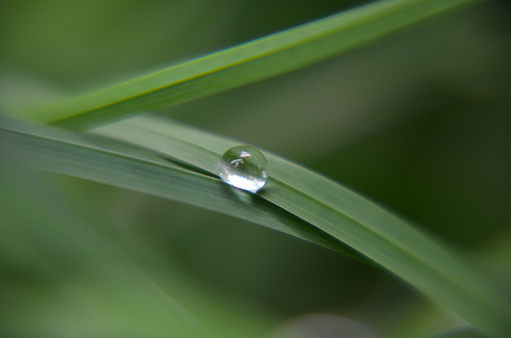 Wassertropfen