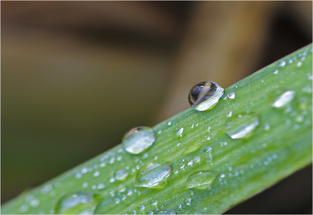 Wassertropfen