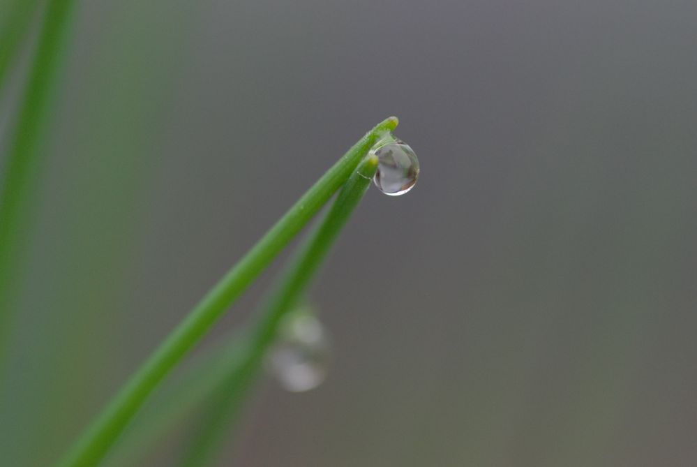 Wassertropfen