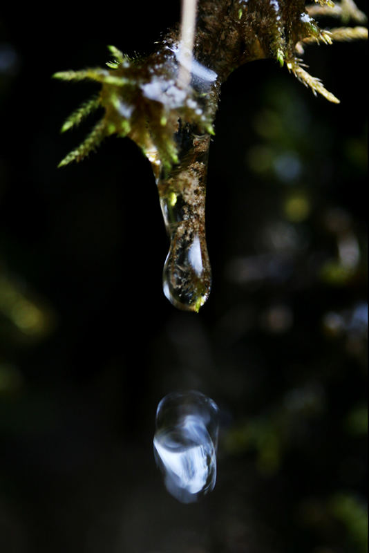 Wassertropfen