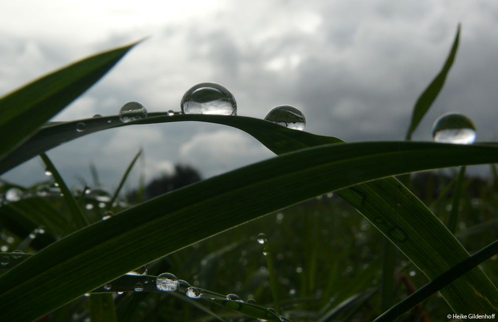 Wassertropfen