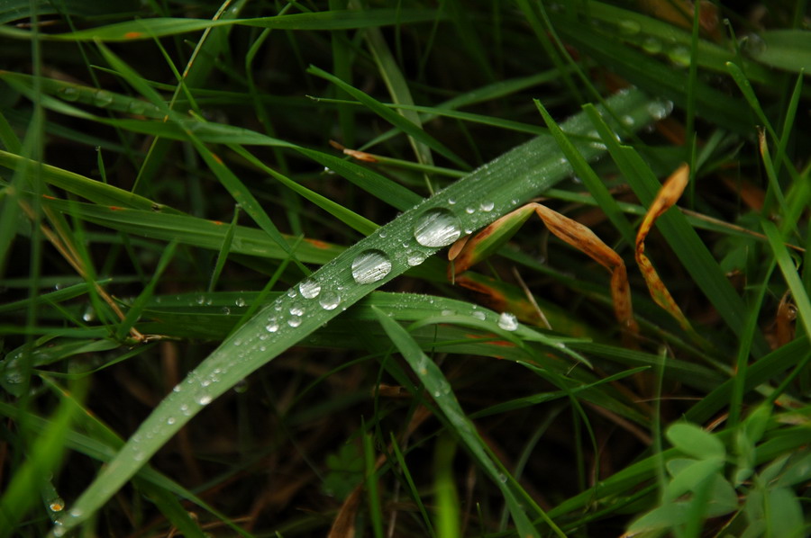 Wassertropfen