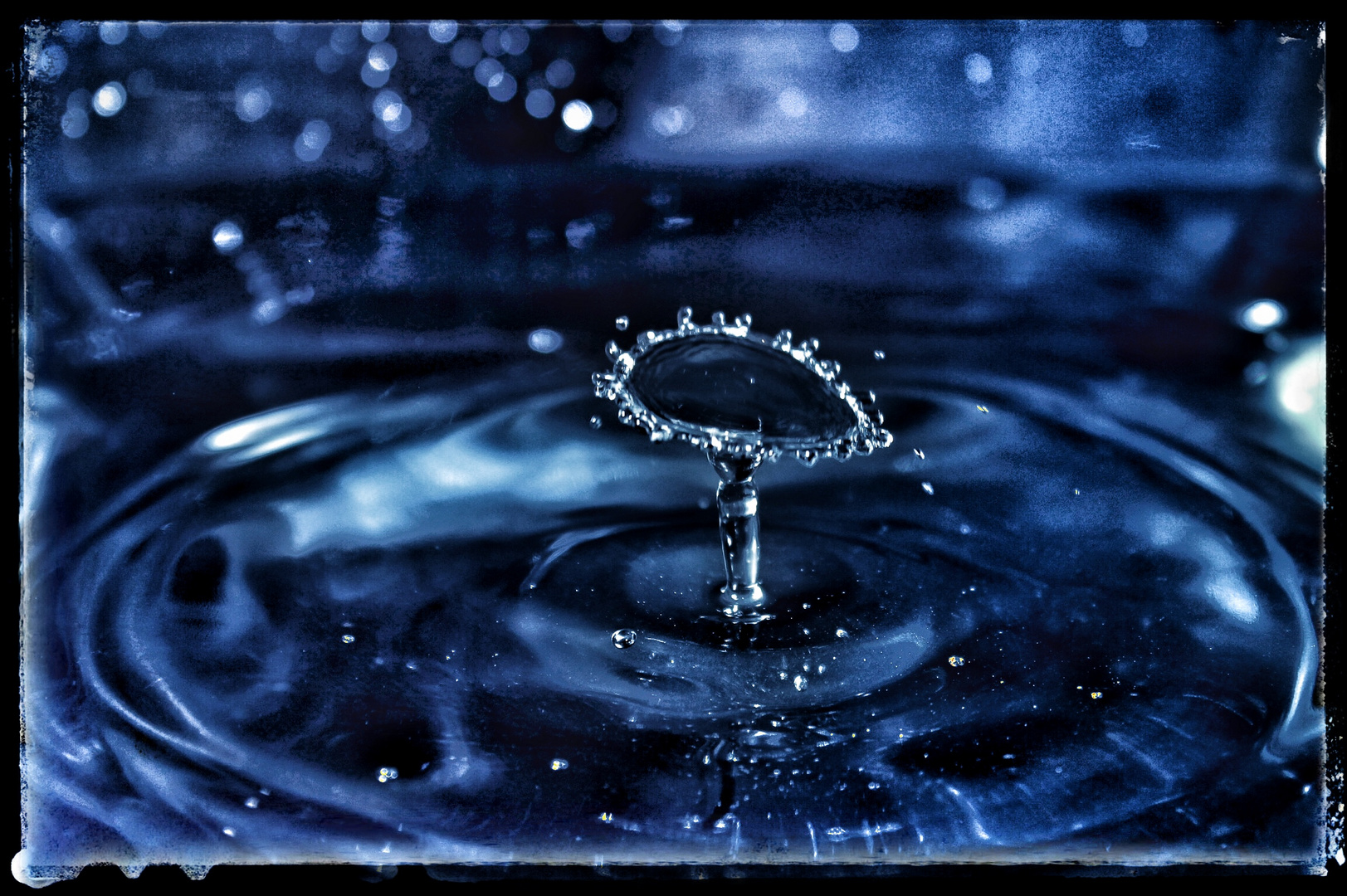 Wassertropfen Foto & Bild | wasser, natur Bilder auf fotocommunity