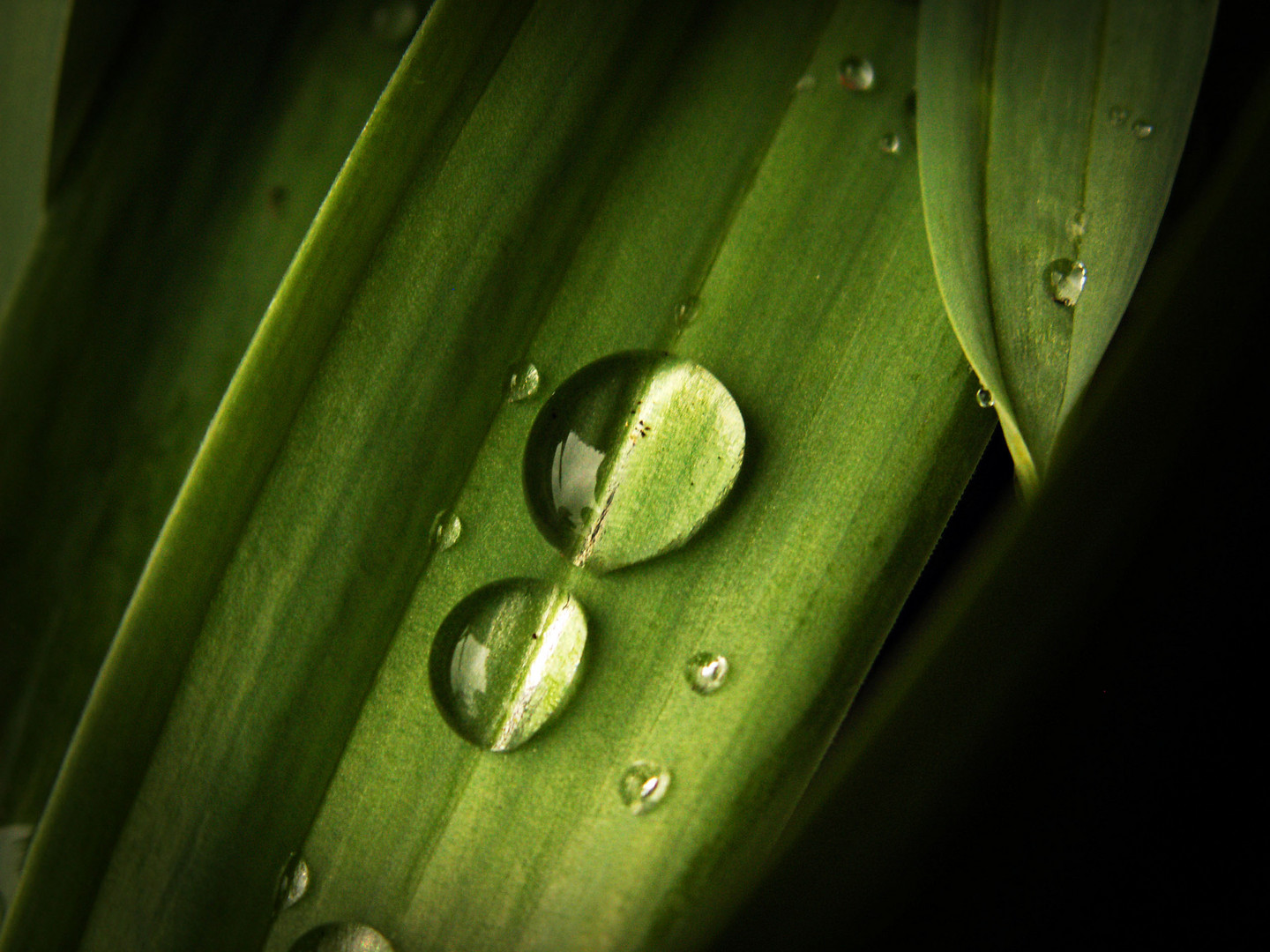 Wassertropfen...