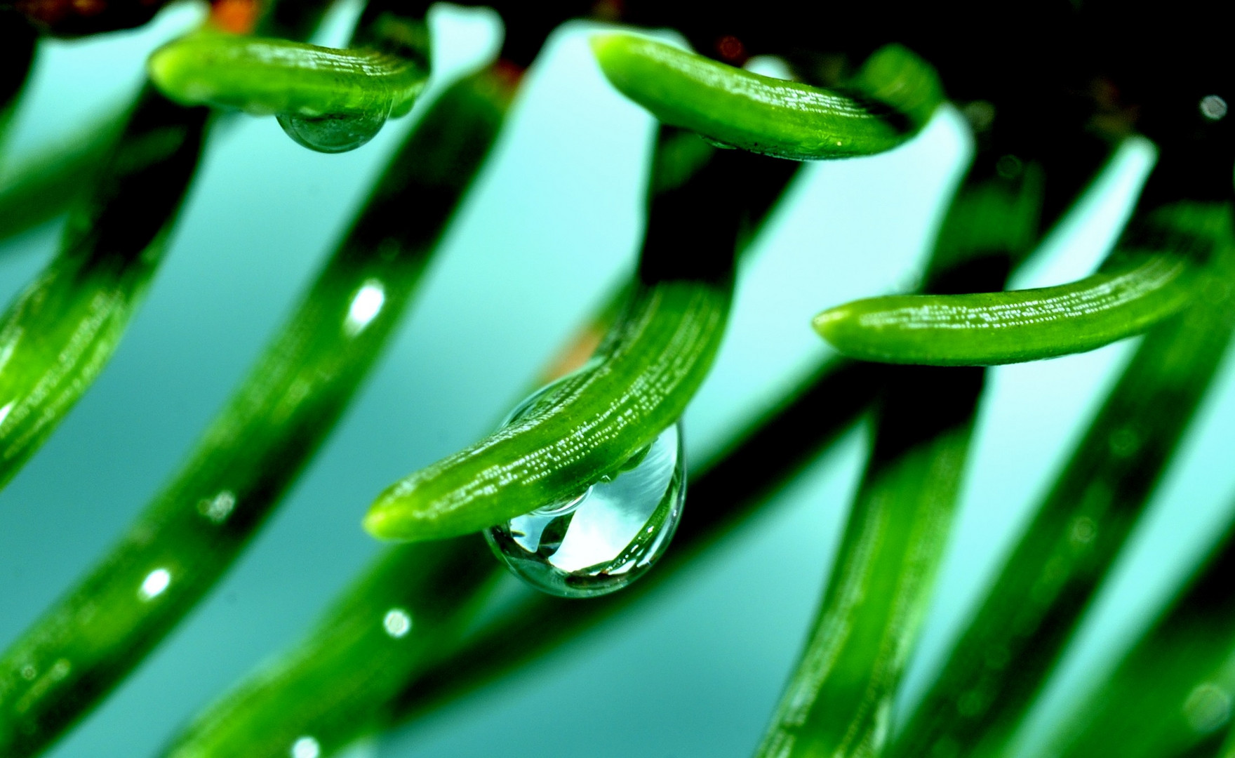 Wassertropfen