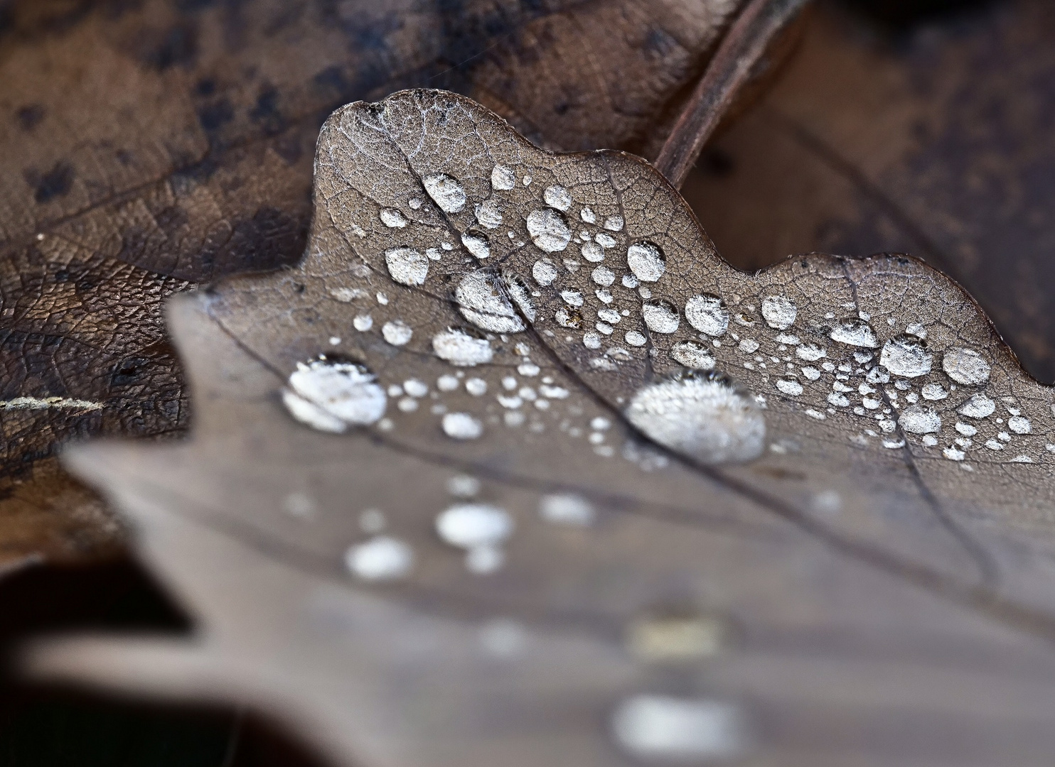 Wassertropfen