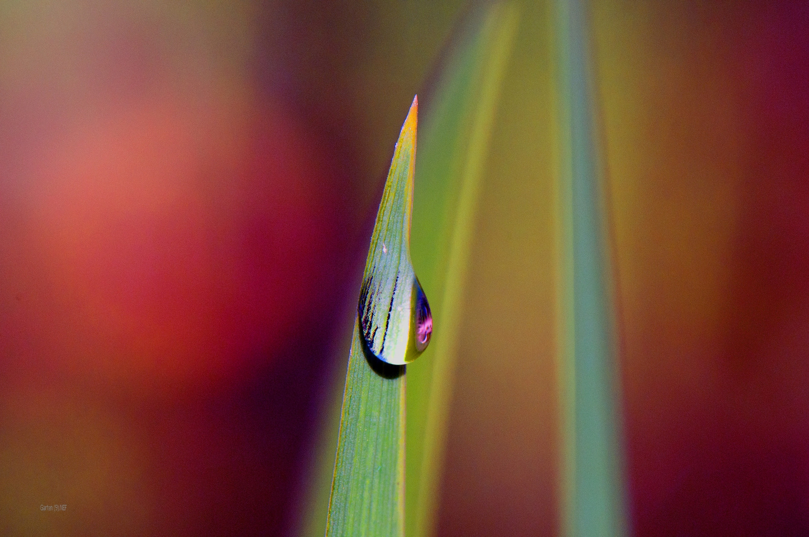 Wassertropfen