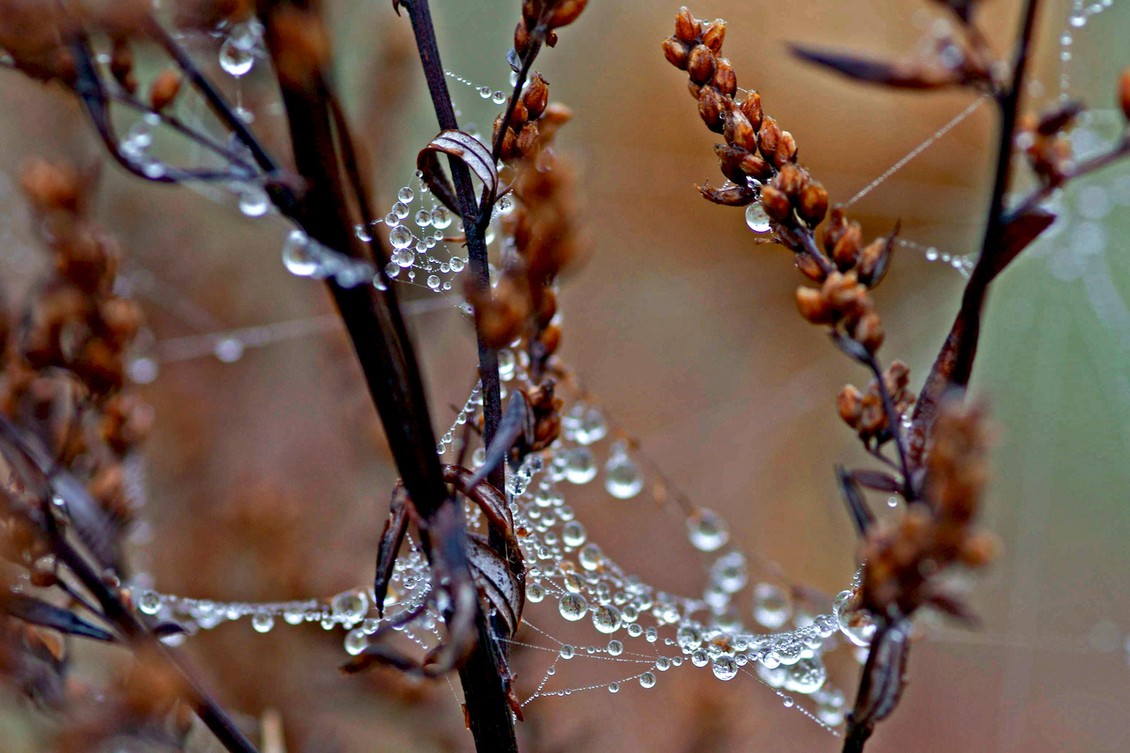 Wassertropfen